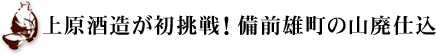�㌴�𑢂�������I���O�Y���̎R�p�d��