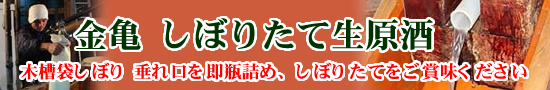 ���T�@�{�����@���ڂ肽�Đ�����